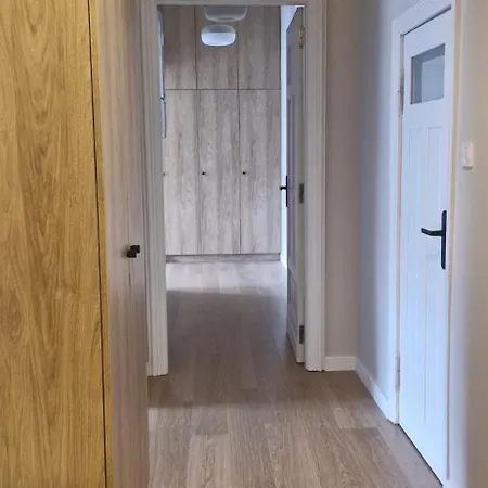 Pamiatkowa 100m2 House 公寓 波兹南