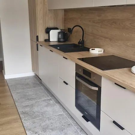 Pamiatkowa 100m2 House 公寓 波兹南